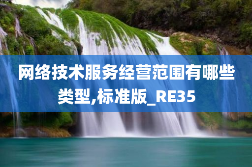 网络技术服务经营范围有哪些类型,标准版_RE35