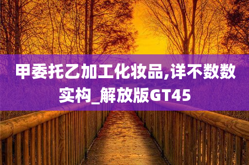 甲委托乙加工化妆品,详不数数实构_解放版GT45