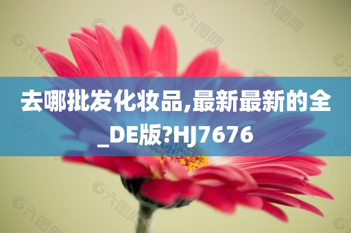 去哪批发化妆品,最新最新的全_DE版?HJ7676