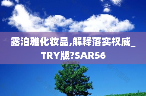 露泊雅化妆品,解释落实权威_TRY版?SAR56