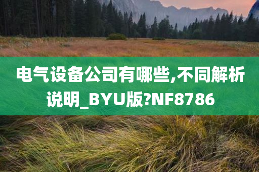 电气设备公司有哪些,不同解析说明_BYU版?NF8786