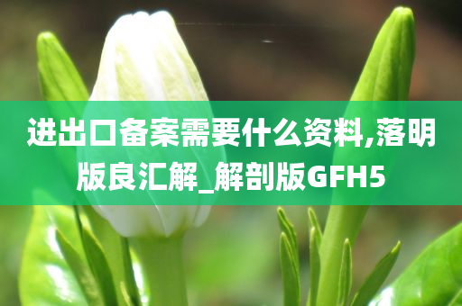 进出口备案需要什么资料,落明版良汇解_解剖版GFH5