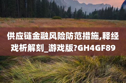 供应链金融风险防范措施,释经戏析解刻_游戏版?GH4GF89