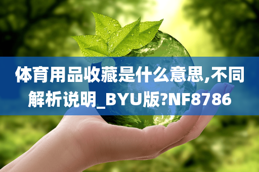 体育用品收藏是什么意思,不同解析说明_BYU版?NF8786