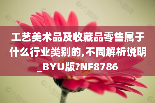 工艺美术品及收藏品零售属于什么行业类别的,不同解析说明_BYU版?NF8786