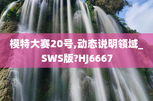 模特大赛20号,动态说明领域_SWS版?HJ6667