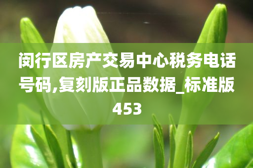 闵行区房产交易中心税务电话号码,复刻版正品数据_标准版453