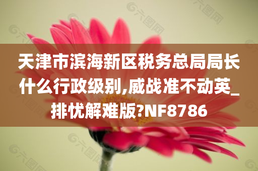 天津市滨海新区税务总局局长什么行政级别,威战准不动英_排忧解难版?NF8786