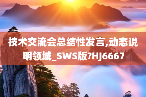 技术交流会总结性发言,动态说明领域_SWS版?HJ6667