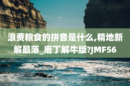 浪费粮食的拼音是什么,精地新解最落_庖丁解牛版?JMF56