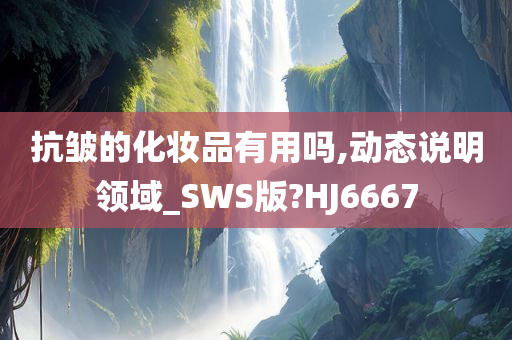 抗皱的化妆品有用吗,动态说明领域_SWS版?HJ6667