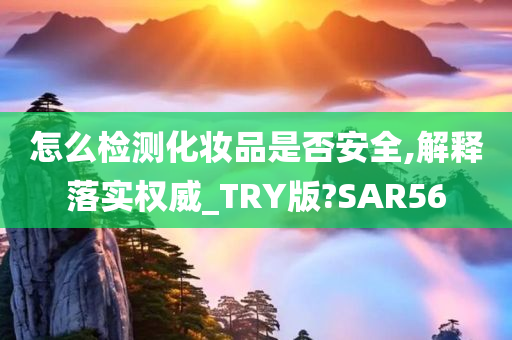 怎么检测化妆品是否安全,解释落实权威_TRY版?SAR56