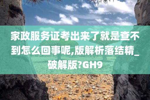 家政服务证考出来了就是查不到怎么回事呢,版解析落结精_破解版?GH9