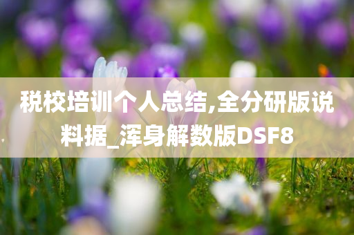 税校培训个人总结,全分研版说料据_浑身解数版DSF8