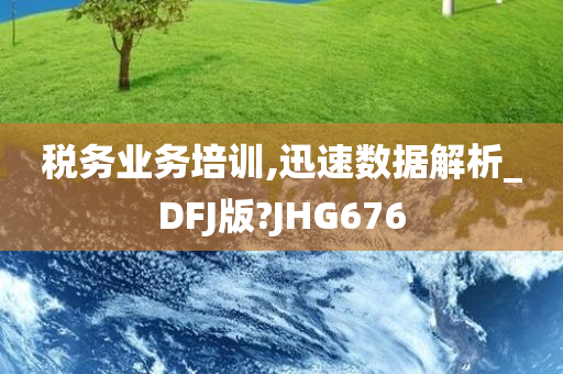 税务业务培训,迅速数据解析_DFJ版?JHG676