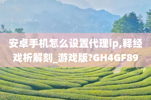 安卓手机怎么设置代理ip,释经戏析解刻_游戏版?GH4GF89