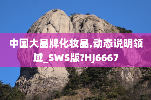 中国大品牌化妆品,动态说明领域_SWS版?HJ6667