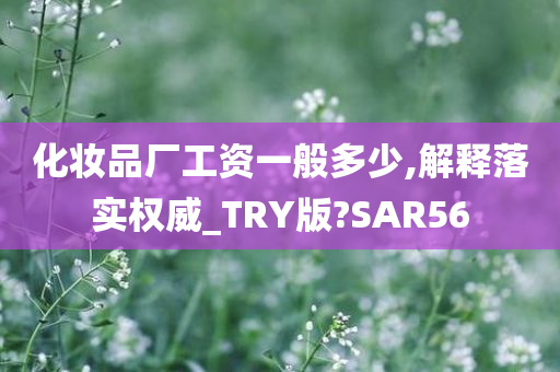 化妆品厂工资一般多少,解释落实权威_TRY版?SAR56