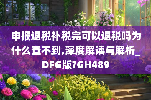 申报退税补税完可以退税吗为什么查不到,深度解读与解析_DFG版?GH489