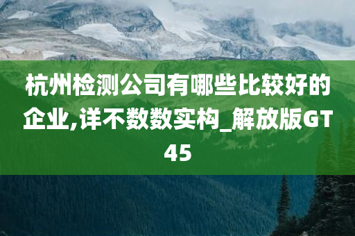 杭州检测公司有哪些比较好的企业,详不数数实构_解放版GT45