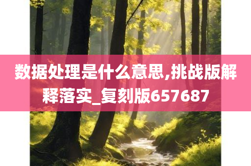 数据处理是什么意思,挑战版解释落实_复刻版657687