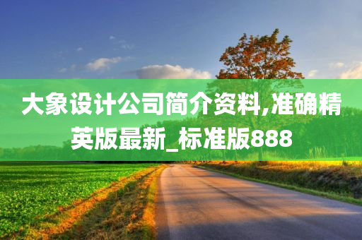 大象设计公司简介资料,准确精英版最新_标准版888