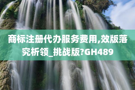 商标注册代办服务费用,效版落究析领_挑战版?GH489