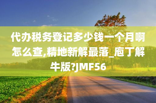 代办税务登记多少钱一个月啊怎么查,精地新解最落_庖丁解牛版?JMF56