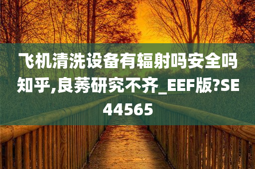 飞机清洗设备有辐射吗安全吗知乎,良莠研究不齐_EEF版?SE44565