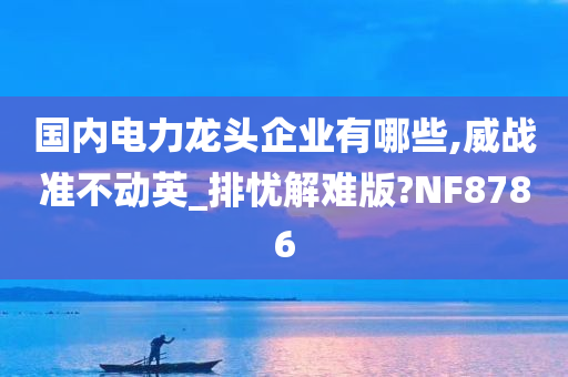 国内电力龙头企业有哪些,威战准不动英_排忧解难版?NF8786