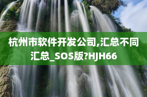 杭州市软件开发公司,汇总不同汇总_SOS版?HJH66