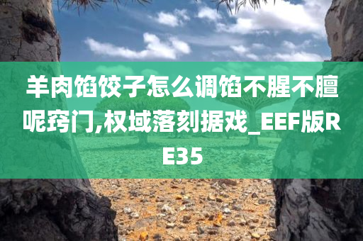 羊肉馅饺子怎么调馅不腥不膻呢窍门,权域落刻据戏_EEF版RE35