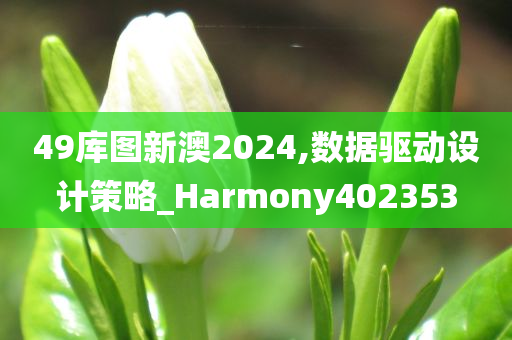 49库图新澳2024,数据驱动设计策略_Harmony402353