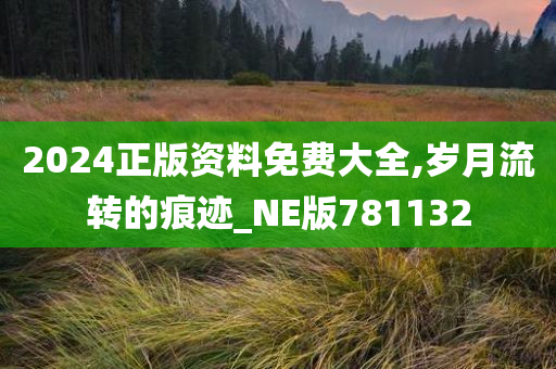 2024正版资料免费大全,岁月流转的痕迹_NE版781132