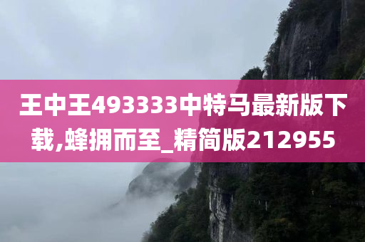 王中王493333中特马最新版下载,蜂拥而至_精简版212955