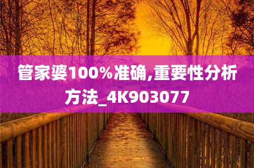 管家婆100%准确,重要性分析方法_4K903077