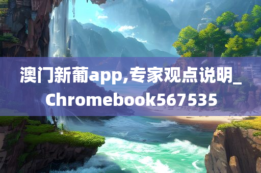 澳门新葡app,专家观点说明_Chromebook567535