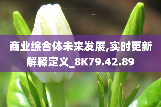 商业综合体未来发展,实时更新解释定义_8K79.42.89