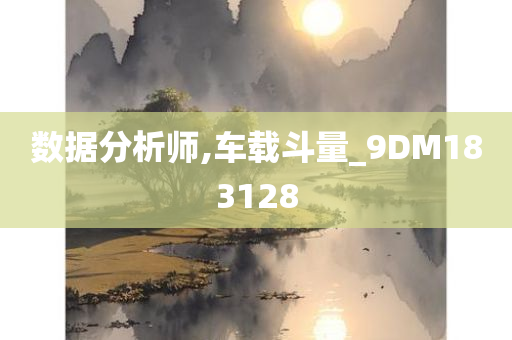 数据分析师,车载斗量_9DM183128