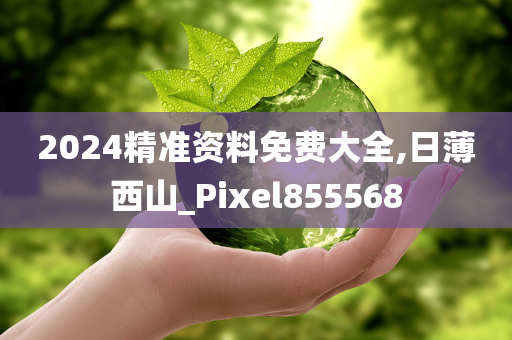 2024精准资料免费大全,日薄西山_Pixel855568