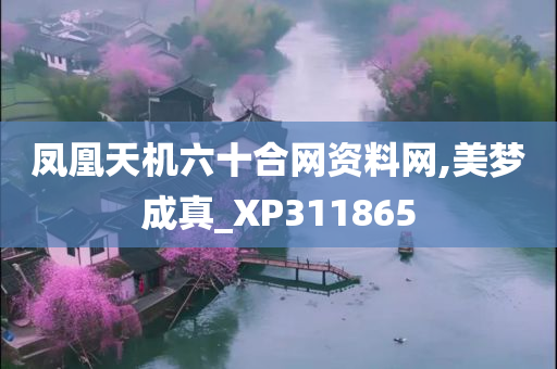 凤凰天机六十合网资料网,美梦成真_XP311865