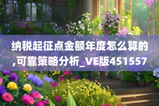 纳税起征点金额年度怎么算的,可靠策略分析_VE版451557