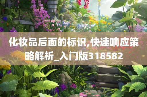 化妆品后面的标识,快速响应策略解析_入门版318582