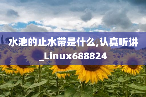 水池的止水带是什么,认真听讲_Linux688824