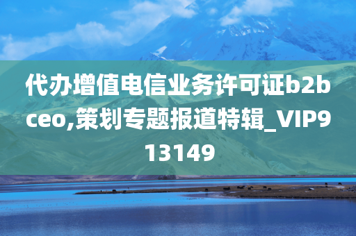 代办增值电信业务许可证b2bceo,策划专题报道特辑_VIP913149