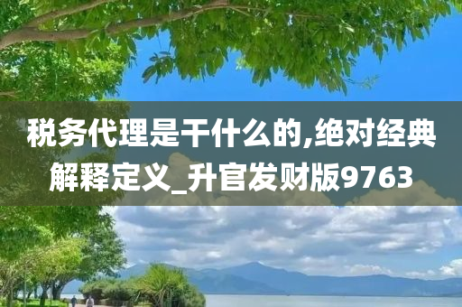 税务代理是干什么的,绝对经典解释定义_升官发财版9763