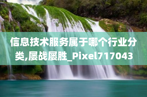 信息技术服务属于哪个行业分类,屡战屡胜_Pixel717043