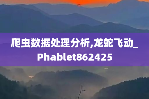 爬虫数据处理分析,龙蛇飞动_Phablet862425