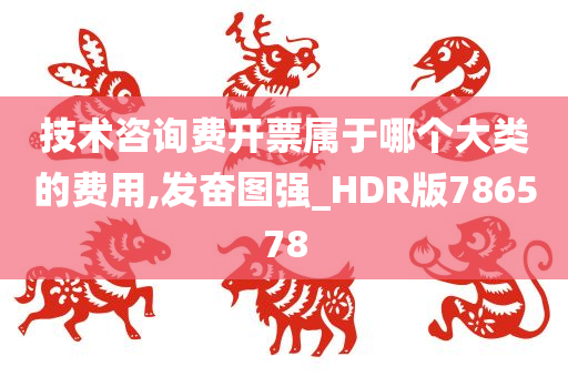 技术咨询费开票属于哪个大类的费用,发奋图强_HDR版786578