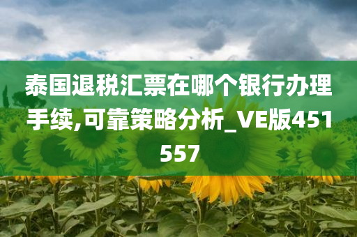 泰国退税汇票在哪个银行办理手续,可靠策略分析_VE版451557